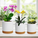 5 Pack Cylindrical Flower Pots with 7/6.5/6/5/4 inch, Modern Small Plastic Plant Pots with Drainage Holes & Saucers, Round Planter Pots for Outdoor, Indoor & Office Decor (White Brown) by GreenHaven Gardens
