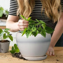 Ceramic Planter - 8 Inch Plant Pot with Drainage Hole and Saucer, Glaze Round Flower Pot for Home Garden Patio Office, White by GreenHaven Gardens
