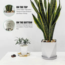 Rocks for Plants 5 Lbs, 0.8-1.5 Inch High Polished Pebbels, Decorative Stones for Garden Landscaping, Smooth Gravel Filler for Outdoor Plants, Succulents, Fish Tank and Vases by GreenHaven Gardens