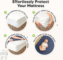 Waterproof Crib Mattress Protector Cover Fitted - 2-Pack Quiet Baby Crib Mattress Pad Sheets, 52" x 28" Soft Quilted Cotton Baby Sheet, Machine Washable, Easy Fit, Durable (Avocado/Mavy) by TinyTreasures Baby Boutique