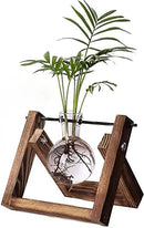 Kingbuy Plant Propagation Station Air Plant Terrarium Bulb Vase with Wooden Swivel Holder Desktop Glass Planter for Indoor Water Plants Home Office Tabletop Decor - 1 Bulb Vase by GreenHaven Gardens