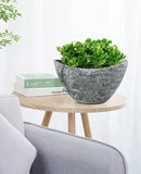 LaDoVita Plant Pots with Drainage Holes, 12 Inch Large Planters for Indoor Plants, Plastic Flower Pots Outdoor, 2 Pack, Marble Pattern Grey by GreenHaven Gardens