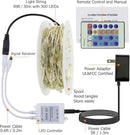 RUICHEN Multicolor Dimmable Fairy Lights Plug in, 99 Ft 300 LED Twinkle String Lights with Remote, Waterproof Silver Wire Firefly Lights for Bedroom, Patio, Yard, Christmas, Easter, Wedding, Party by GreenHaven Gardens