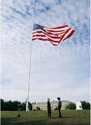 Annin Flagmakers (2320) SolarGuard Nyl-Glo American Flag, Made in USA, 8 x 12 Feet, Nylon by GreenHaven Gardens