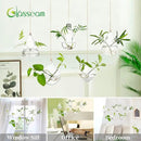 Glasseam Hanging Planters Glass Terrarium: 5Pcs Modern Plant Propagation Stations Hydroponic Wall Vases for Air Plants Flowers Indoor Window Home Decor by GreenHaven Gardens