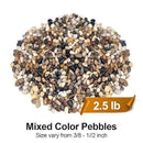 2.5 lbs Pebbles for Indoor Plants, Succulent, Bamboo, Vase, 3/8" Plant Rocks for Pots Indoor, Small River Rocks Decorative Pea Gravel, Highly Polished by GreenHaven Gardens