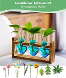 Nacome Plant Terrarium for Office Decor: Birthday Gifts for Plant Lovers Women Mom Wife - Wooden Stand Tabletop Planter 3 Bulb Glass Vase Heart Shaped for Hydroponics Indoor Home by CozyNest Decor