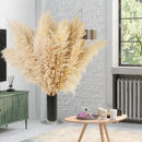 10 PCS 40" Tall Pampas Grass Stems in Natural Beige, Add a Boho Touch to Your Space—Pompas Grass Ideal for Floral Arrangements, Floor Vases, Weddings, and Creating a Bohemian Ambiance at Home. by CozyNest Decor