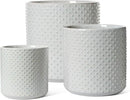 LE TAUCI Ceramic Plant Pots Indoor, 10+8+6 Inch Planters for Indoor Plants, Raised Dots Flower Pots with Drainage Hole and Plug, Cylinder Round Planters, Set of 3, Glaze Star Gray by GreenHaven Gardens
