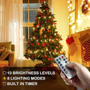 Globe String Lights 65.6 Ft. 120LEDs 8 Modes with Remote,USB Fairy Lights Plug in,Waterproof LED String Lights for Indoor Outdoor Bedroom Party Wedding Garden Christmas Tree Decor,Warm White by CozyNest Decor