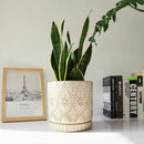 8 Inch Indoor Plant Pot with Drainage Holes and Saucers, Ceramic Planter for Plants, Succulent Orchid Flower Pots by CozyNest Decor