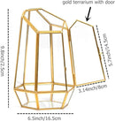 Golden Geometric Glass Terrarium with Door - 9.8" Tall Irregular Clear Planter for Succulents,Ferns,Moss,Cacti | Indoor Fairy Garden,Tabletop Display,Wedding Home Decoration (Plants Not Included) by GreenHaven Gardens