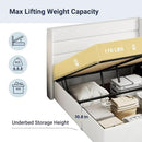 Allewie Full Size Velvet Lift Up Storage Bed, Modern Wingback Headboard, Hydraulic Support, No Box Spring Needed, White by CozyNest Decor