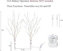 Birchlitland Lighted Birch Branches with Timer Battery Operated 18IN 70L Warm White LED Fairy Lights, Artificial Decorative Branch Lights for Home and Holiday Decoration Indoor Outdoor by CozyNest Decor