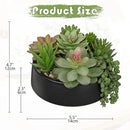DILATATA Artificial Succulent Plants in Pot 5.5 Inch Fake Succulents Arrangement Potted Plant in Black Ceramic Planter Bowl for Home Office Desk Shelf Living Room Bedroom Bathroom Decor by GreenHaven Gardens