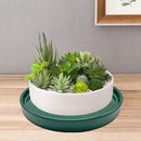 2 Pack Ceramic Plant Saucer Pot Tray 8 Inch, Planter Saucers 4 5 6 7 8 9 10 11 12 Inch for Indoors Outdoor, Durable Sturdy Flower Drainage Tray for Glazed Pots Base (8.5 Inch Green) by GreenHaven Gardens