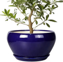 Ceramic Planter - 13 Inch Indoor Plant Pot for Plants with Drainage Hole and Saucer Large Planter Round Outdoor Flower Pot Mid-Century for House Patio Room Decor Blue by GreenHaven Gardens