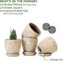 4 Inch Mini Plant Pots, Ceramic Succulent Planter with Drainage Hole and Saucers for Indoor Plants, Small Garden Pots for Succulent, Herb and Flower, Set of 4 by CozyNest Decor