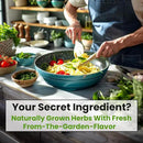 5 Herb Seeds Variety Kit, Oregano, Cilantro, Parsley, Basil, Chives by GreenHaven Gardens