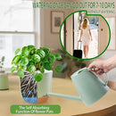 Self Watering Orchid Pots for Indoor Plants,5.8 Inch Macetas para Orqudeas,Flower Pots for Indoor Plants with Holes(Green) by GreenHaven Gardens