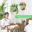 Hanging Planters for Indoor Outdoor Plants, 2 Pack Self Watering Hanging Pot with Drainage Holes, Removable Tray & 2 Kinds of Plant Hangers, 10'' Hanging Flower Pots for Home Garden Decor, Green by CozyNest Decor