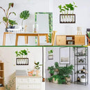 XXXFLOWER Wall Hanging Terrarium Planter with 5 Test Tubes,Wall Planters for Indoor Plants,Plant Lover Gifts for Women Garden Office Decoration by CozyNest Decor