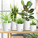 7/6.5/6/5.5/5/4 inch Self Watering Pots for Indoor Outdoor Plants, 6 Pack Plastic Flower Planters with Drainage Holes and Removable Saucers, Plant Pots with Wicking Rope, Modern Decor, White by GreenHaven Gardens