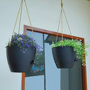 8 inch Hanging Planters, 2 Pack Self Watering Hanging Pots with 20oZ Deep Reservoir for Indoor Outdoor Plants Flowers, Black by CozyNest Decor