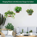 3 Pack Hanging Planters Set, 8 Inch Indoor Outdoor Hanging Plant Pot Basket,Hanging Flower Pot with Drainage Hole with 3 Hooks for Garden Home(8 inch Combination) by GreenHaven Gardens