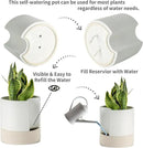 Nihow Self Watering Plant Pot: 8 Inch Ceramic Planter with Drainage Hole & Water Storage Plus for Indoor & Outdoor Plants - Cylinder Round Flower Pot for Succulent/Herbs/Violets - White & Brown by GreenHaven Gardens