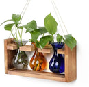 Plant Propagation Station Plant Terrarium Unique Birthday Gifts for Women Plant Lovers Home Office Decor Planter with Wooden Stand - 3 Bulb Glass Vase by GreenHaven Gardens