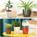 Self Watering Pots for Indoor Plants, 6-Pack 5'' Self Watering Planter with Drainage Holes, Small African Violet Pots with Water Indicator, Clear Wick Orchid Pot, Grey by CozyNest Decor