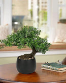 Artificial Bonsai Tree Juniper Faux Plants Indoor Fake Plants Decor with Ceramic Pots for Home Table Office Desk Bathroom Shelf Bedroom Living Room Farmhouse Decorations by GreenHaven Gardens