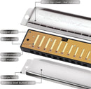SWAN Blues Harmonica C Key for Kids Adults, 10 Hole Diatonic Harmonica Key of C, Metal Blues Harp for Beginners Students, Mouth Organ in Case, Silver by TinyTreasures Baby Boutique