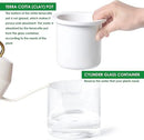 Phoenix Vine 4 Inch Self Watering Planter Pot, Design White Terracotta Pots for Plants, Indoor Cylinder Terra Cotta Pots with Glass Vase, Set of 4, 51-B-E-4 by GreenHaven Gardens