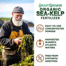 Organic Sea Kelp Fertilizer for Plants – Water-Soluble – Makes 100 Gallons – Kelp Meal Concentrate Plant Food – for Indoor Gardens, Hydroponics, Vegetables, Houseplants - Smart Grower - 4oz Bag by GreenHaven Gardens