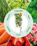 Vertical Hydroponics Growing System Kit, Indoor Outdoor Gardening System Kits, Herb & Fruits Growing Tower, 6 Layer 30 Pods by CozyNest Decor