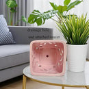 Orchid Pots with Holes Square Ceramic Orchid Planter Pots 5.5 inch (Pink) by GreenHaven Gardens
