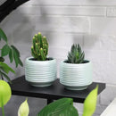 Mini Succulent Planter Set – 3.7 Inch Ceramic Pots with Drainage for Indoor Plants, Small Decorative Flower Pots for Cactus and House Plants, Set of 4 by CozyNest Decor
