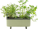 Vego garden Herb Indoor Plant Box, Self Watering Planters Pots for Indoor Plants with Trellis for Kitchen Window Sill or Countertop Plants Cage - Sage Green by GreenHaven Gardens
