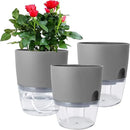 Vanavazon 6 Inch Self Watering Planter Pots for Indoor Plants, 3 Pack African Violet Pots with Wick Rope-Grey by CozyNest Decor