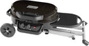 Coleman RoadTrip 225 Portable Propane Grill, 2-Burner Gas Grill with Matchless Ignition & Adjustable Temperature Control, 11,000 BTUs of Power for Grilling, Tailgating, Camping, BBQ, & More by GreenHaven Gardens