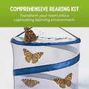 Nature Gifts Live Butterfly Kit - School-Sized Educational Experience with 32 Painted Lady Caterpillars - Pop-Up Cage, and Comprehensive Rearing Supplies for Classroom Engagement, 32 Small Cups by TinyTreasures Baby Boutique