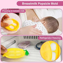 Baby Fruit Food Feeder - Silicone Nibble Tray Combo - Breastmilk Popsicle Mold for Cooling Relief, BPA Free Mesh Feeder for Infant Self Feeding (Deer Pink + Pineapple) by TinyTreasures Baby Boutique