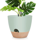 12 inch Large Self Watering Plant Pots, Flower Pots Planters with Multi Mesh Drainage Holes for Indoor Outdoor Garden Plants and Flowers by GreenHaven Gardens
