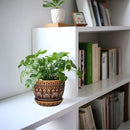 G EPGardening Ceramic Pot for Plants 5.5 Inch - Ceramic Plant Pot with Drainage Hole and Saucer, Boho Round Planter for Indoor Outdoor Plants, Plant Lover Gifts, Office Garden House Decor, Brown by GreenHaven Gardens