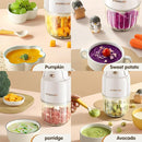 Baby Food Maker - Processor & Blender for Fresh Meals, Fruits, Veggies, Meat & Puree (White) by TinyTreasures Baby Boutique
