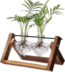 Kingbuy Glass Desktop Planter with Retro Wooden Stand and Plant Terrarium Vase (2 Hearts) for Indoor Home Office Desk Decor Accessories by GreenHaven Gardens
