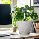 8 Inch Ceramic Pots for Plants Large Planter Pot with Drainage Hole and Saucer Round Flower Pot for Indoor Outdoor Decor, White by CozyNest Decor