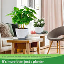 Hanging Planters for Indoor Plants with Self-Watering Hanging Pots for Plants, 2 Pack Macrame Hanging Plant Holders with Drainage Hole & Two Ceiling Hooks, Plant Hangers for Houseplants (7 Inch) by GreenHaven Gardens